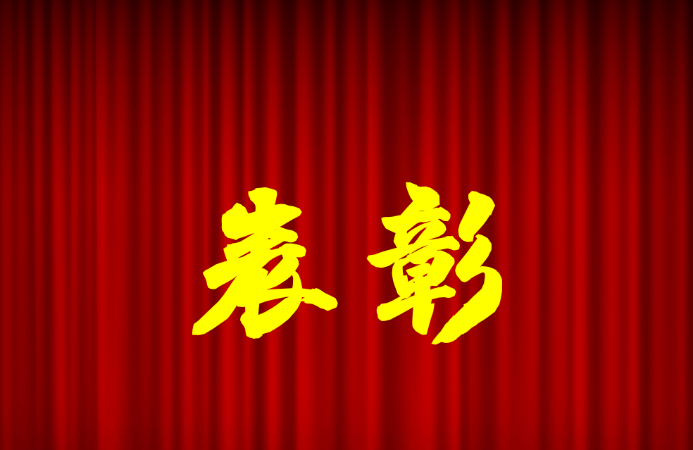 逐光前行、榮耀共鑒 | 公司2024年度表彰來(lái)啦！